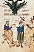 Page from Celsus's 'De Medicina'