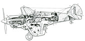 P-40 Tomahawk IIB