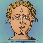 Position of the planets in the human head