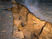 Earthquake Fissure