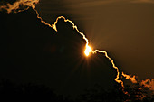 Cumulus with Golden Lining