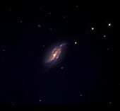NGC4088 With Supernova 2009dd