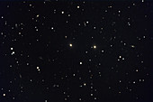 Pegasus 1 Galaxy Cluster