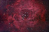 The Rosette Nebula,NGC 2237