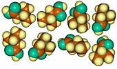 Isovaleric Acid Molecular Models