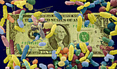 Bacteria SEM On Dollar Bill