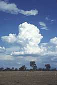 Cumulonimbus Clouds