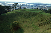 One Tree Hill,NZ
