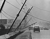 Dodging Power Lines in Hurricane