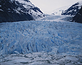 Bear Glacier,Canada
