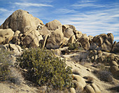 Joshua Tree Rock Formations