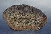 Vesicular Basalt