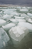 Ice floes and stormy sky,Spitsbergen