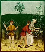 Agriculture-1400s