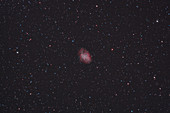 M1,The Crab Nebula