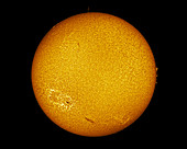 The Sun with prominences