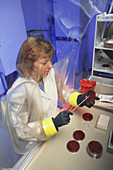 Researcher Using Anaerobic Chamber