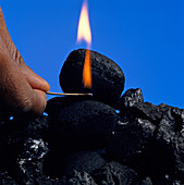 Charcoal and Fuel Coal