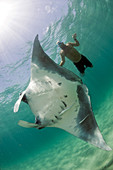 Snorkeler and Manta Ray