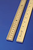 Metric and Imperial Rulers