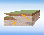 Thrust Fault Created By Earthquake