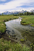 Grand Tetons,Wyoming