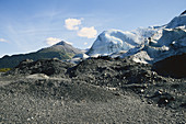 Exit Glacier Moraine