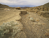 Death Valley Dry Wash