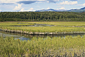 Potter's Marsh,Alaska