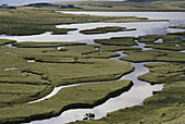 Coastal Marsh,Scotland