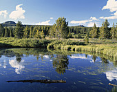 Pond in Colorado,USA