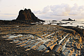 Rill Erosion,Olympic National Park,USA