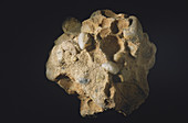 Conglomerate Rock