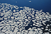 Broken Sea Ice,Antarctica