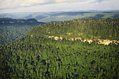Guiana Highlands,Brazil