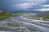 Savage River in Alaska,USA