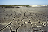 Mudflats in California,USA