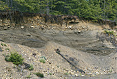 Riverbank Sediments
