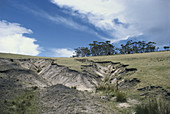 Eroded Gully,Tasmania