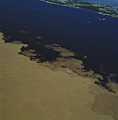 Amazon River and Rio Negro