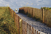 Fence to Protect Dunes