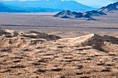 Kelso Dunes,California,USA