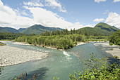 The Quinault River