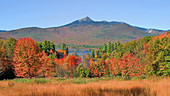 Mt. Chocorua in Autumn