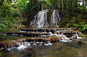 Tropical stream and Waterfall