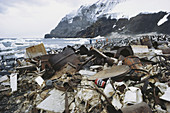 Garbage Pollution,Antarctica