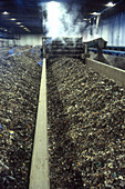 Compost Production