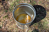 Maple Syrup Pail