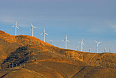 Old and new windmills,California,USA