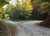 Rural Road in Autumn,USA